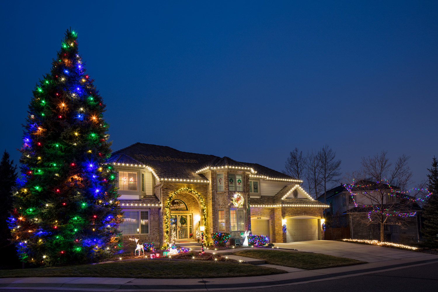 Christmas Tree Lighting - The Light Pros